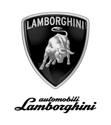 Lamborghini driving gloves